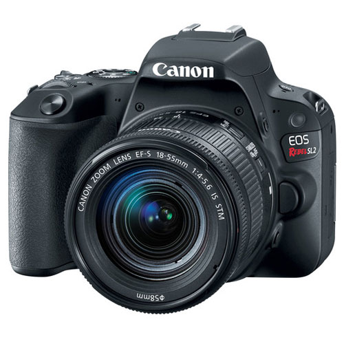 Canon EOS Rebel SL2 DSLR Camera + EF-S 18-55mm f/4-5.6 IS STM Lens + 58mm 2X Telephoto & Wide Angle Lens + 32GB Memory Card + Slave Flash + Quality Tripod + Wireless Remote + Full Accessory Bundle