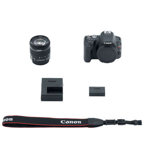 Canon EOS Rebel SL2 DSLR Camera + EF-S 18-55mm f/4-5.6 IS STM Lens + 58mm 2X Telephoto & Wide Angle Lens + 32GB Memory Card + Slave Flash + Quality Tripod + Wireless Remote + Full Accessory Bundle
